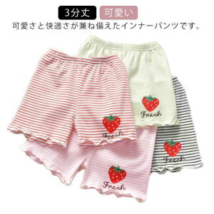 {NT[pc C`S I[o[pc Ci[pc ̎q  A_[pc 3 K[Y {[_[ xr[  V[gpc p Zp  ėp