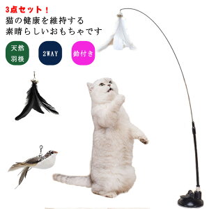 t  Lp t 2WAY ˂pi VRH zՎ  V ^s  Lߋ qL XgX ԑΉ 3_Zbg L炵
