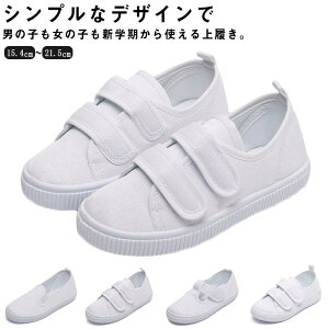 Z j̎q qC 㗚 LbY ̈ Xj[J[ ̎q q  ʊw ʉC ^ ct o[V[Y XN[V[Y X|[c RtH[g ~ q