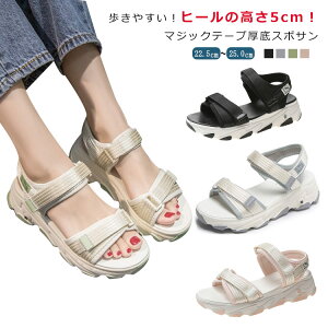 X|[cT_ fB[X  T_ X|T 5.5Z`\[  xN  ₷ r[`T_ Xj[J[ ɂȂ EȂ  Xgbv X|T t  A