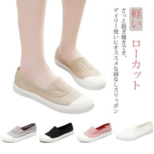 RȂ Xb| Xj[J[ fB[X C [Jbg V[Y JWA LoX T_ s K ₷ ₷ ɂ wlC ʊw ʋ o  