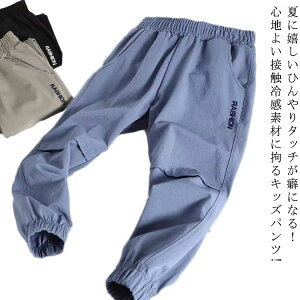 ʋC q t LbY  qǂ C[W[pc j̎q 2Zbg   2Zbg WK[pc  Ђ Opc WjA w  悯 100 JWA