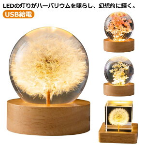 ハーバリウム クリスタルハーバリウム 木製 LED台座付き 母の日 ギフト ホワイトデー 誕生日 結婚記念日 卒業祝 造花 ハーバリウム タンポポ デージー ドライフラワー プリザーブドフラワー