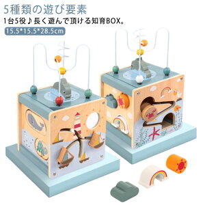 知育玩具 木のおもちゃ アクティビティキューブ 知育おもちゃ 5種類の遊び要素 型はめ パズル ルーピング 迷路 コロコロ遊び 遊び箱 木製 形合わせ 海の遊び箱 形認識 色認識 動