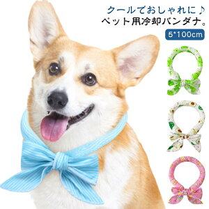  2{Zbg N[o_i po_i N[ Ђ ⊴o_i ybgpo_i  L  pObY MǑ΍ ΍ ۗ ACX|}[ ɂ邾 J