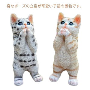  L̒u qL̂肢 Lbg K[fIuWF cat  I[ig lR K[fjO   ֐  O K[f IuWF CeA Aj} A fBXv