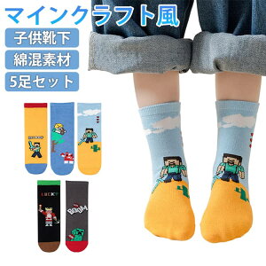 �L�b�Y �C�� 5���Z�b�g �}�C���N���t�g�� �q���p�\�b�N�X �C�� �N���[�\�b�N�X �W���j�A �x�r�[ �c�� �j�̎q ���̎q �ʊw �ʉ��p �{�[�C�Y �K�[���Y ���� �\�b�N�X �w���p�C�� �q���v���[