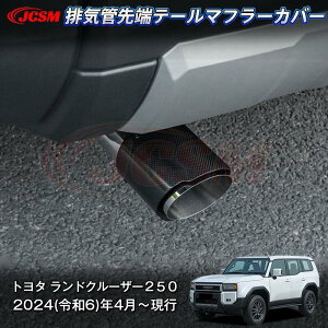 yP10{5/9-5/16zJCSM hN[U[250ig^j LC250 rCǐ[e[}t[Jo[ rCǃK[jbV hXAbv ԗpK[jbV ANZT[ JX^ p[c h~ LYh