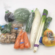 【定番野菜セット11品】（キャベツ・大根・玉葱・胡瓜・茄子・人参・じゃがいも・しめじ・えのき・長葱・…