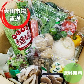 【大田市場直送】おまかせ野菜セット 【送料無料】おすすめ野菜詰め合わせ 商品を追加しても送料そのまま 市場をとおしてるので安心、安全 季節の野菜 お試し下さい ギフト グルメ