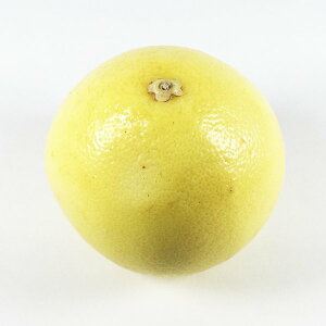 �O���[�v�t���[�c�@�z���C�g