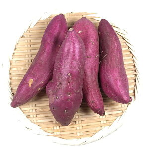 ȂƋi܂Eܔj S`2STCY