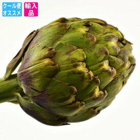 楽天市場 アーティチョーク 野菜 きのこ 食品 の通販