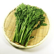 春菊