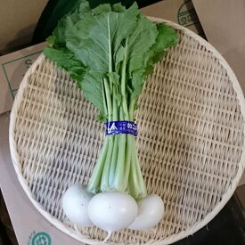 かぶ　3玉