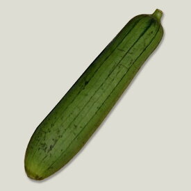 楽天市場 ヘチマ 野菜の通販