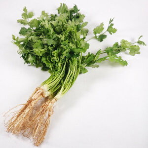 パクチー 100gの人気商品 通販 価格比較 価格 Com