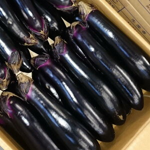 ���֎q ������