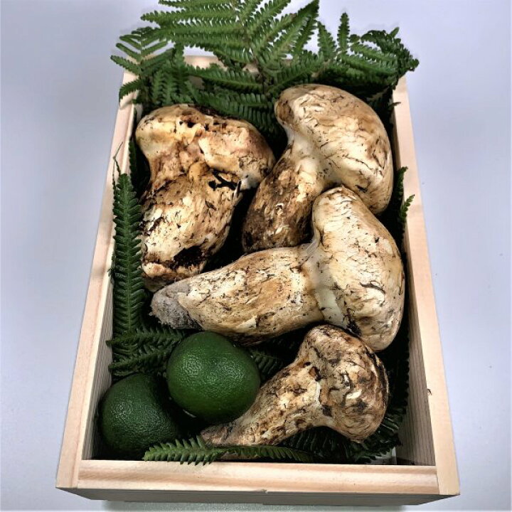 楽天市場】松茸 北米産 贈答用 木箱 300g スダチ2個付き : 夜の八百屋さん
