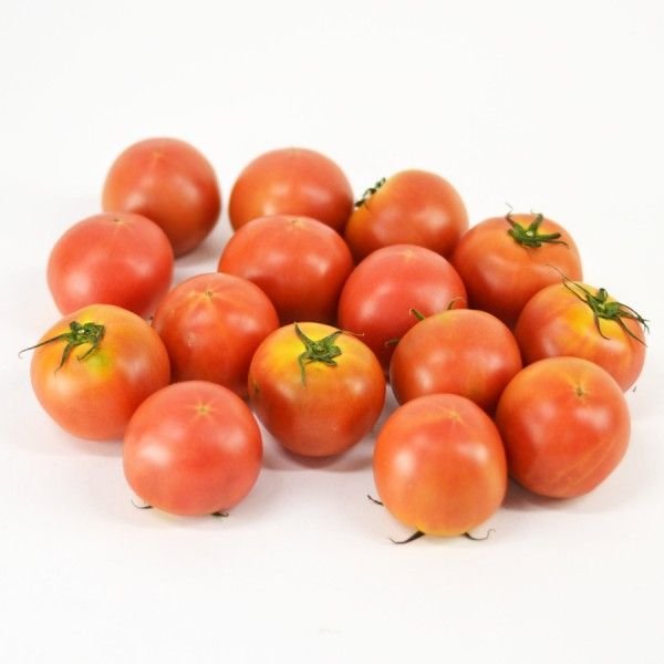 ブランドフルーツトマトをお安く 正規品販売! ギフト 数量限定 アメーラ フルーツトマト