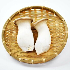 特大エリンギ