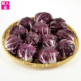 トレヴィス(トレビス) 箱売