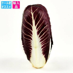 �g�����B�[�\(�g���r�[�\)