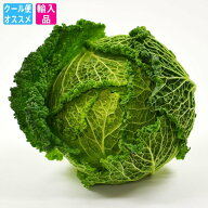 サボイキャベツ