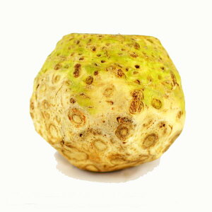 �Z�����A�b�N ���Z���� Celeriac