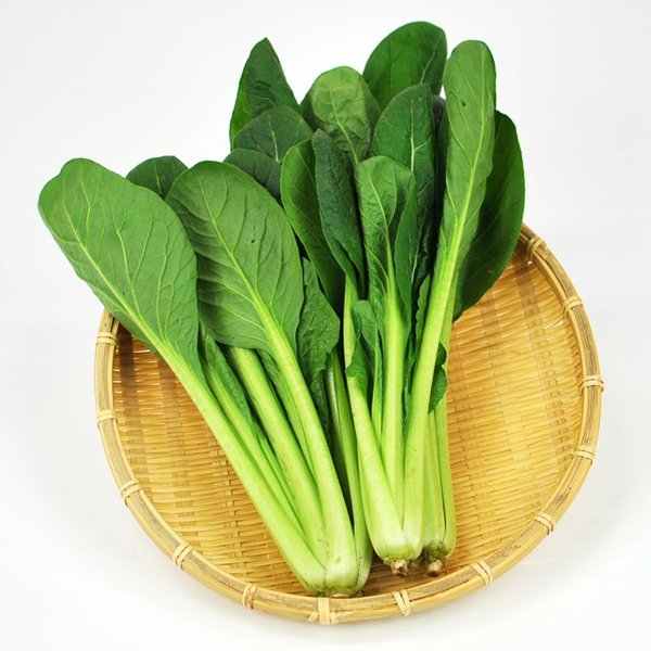 有機野菜をお求めなら… 有機 小松菜