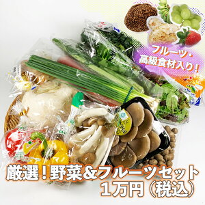 yzIꂽ܂؂ƃt[c̃Zbg lߍ킹 15ix ycs꒼z{̍HނIN iǉĂ̂܂ S ׂĂ̐VNȖ؁Et[c