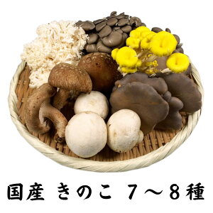 yzÎZbg Zbg 7`8 e1PC  R` V Y   uߕ