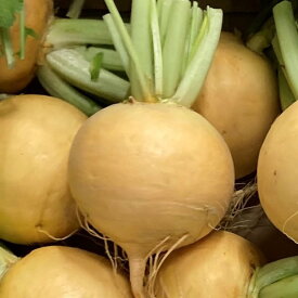 楽天市場 かぶ 総重量 野菜 299g その他野菜 野菜 きのこ 食品の通販 楽天市場 かぶ 総重量 野菜 299g その他野菜 野菜 きのこ 食品の通販