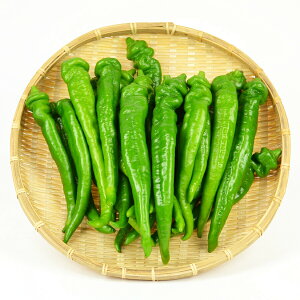 yGIF؁z莛ÂƂ @ ̃uhYi