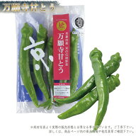 【GI認証】万願寺甘とう 単品　京野菜 京のブランド産品