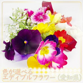 色が選べる食用花 エディブルフラワー　愛知県産