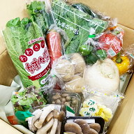 【定期購入】おまかせ野菜セット　野菜15品詰め合わせ 【本州・四国送料無料】野菜 定期便