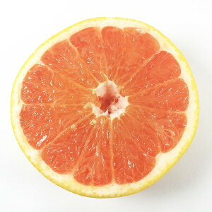 sNO[vt[c@r[E[WiI[XgAj