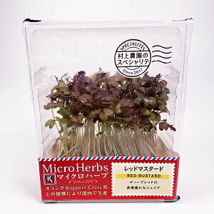 bh}X^[h }CNn[u _ Murakami Farm