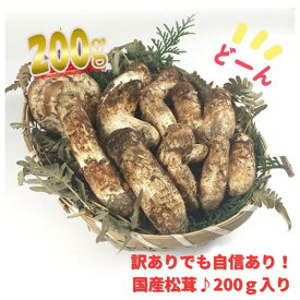 訳あり国産松茸 市場直送でお届け たっぷり堪能できる約200g入り