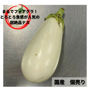 ���Ȃ��@���֎q�@�P�i