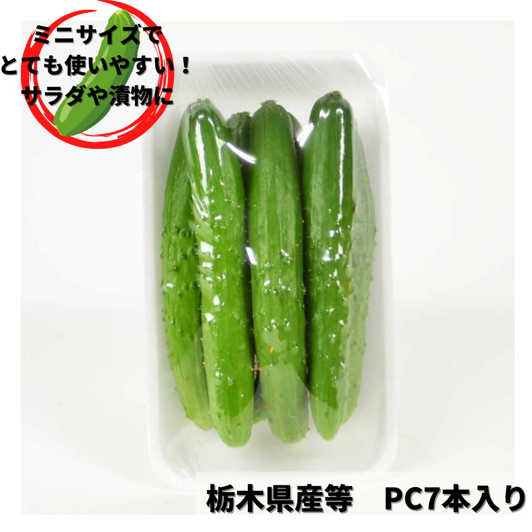 ミニ胡瓜 PC売り 7本入り 栃木 国産 サラダ ピクルス 漬物