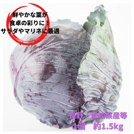 紫キャベツ（レッドキャベツ・赤キャベツ）　単品