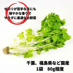 �z���C�g�Z����