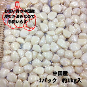 YLɂɂ