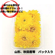 食用菊