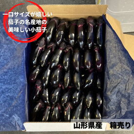 味小茄子　山形県産　約2kg