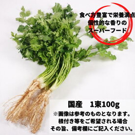 香菜（コウサイ・パクチー・コリアンダー）100g程度