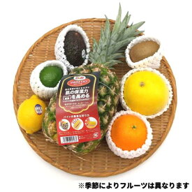 【自宅用】夜の八百屋さんオススメ おまかせ徳用グローバルフルーツセット