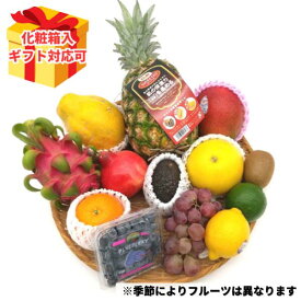 夜の八百屋さんオススメ おまかせ豪華グローバルフルーツセット